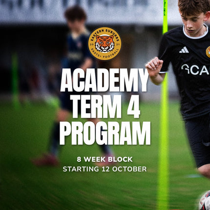 Collection image for: Easts Plus Term Program