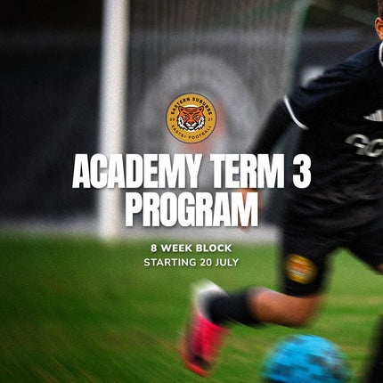 Collection image for: Easts Plus Term Program