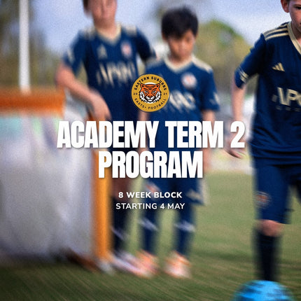 Collection image for: Easts Plus Term Program