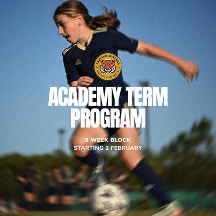 Collection image for: Easts Plus Term Program